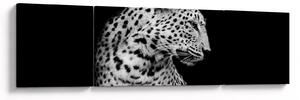 Obraz - Lampart (170x50 cm)