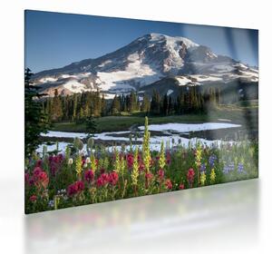 Obraz na szkle - Mount Rainier (70x50 cm)