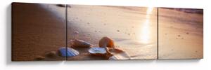 Obraz - Małże (170x50 cm)