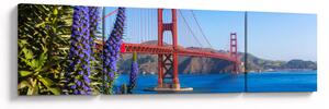 Obraz - Most Golden Gate, San Francisco (170x50 cm)