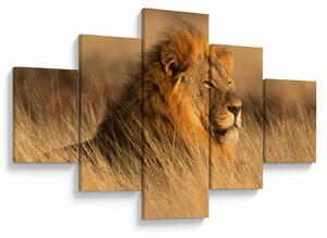 Obraz - Park Narodowy Etosha (125x70 cm)