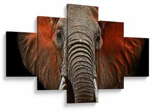 Obraz - Słonie z Tsavo (125x70 cm)