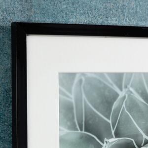 Obraz Succulents II 40x50cm