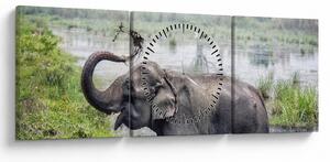Obraz - Kąpiący się słoń (z zegarem) (90x30 cm)