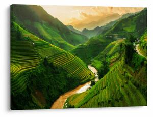 Obraz - Tarasy ryżowe Mu Cang Chai (70x50 cm)