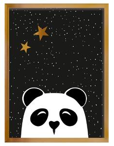 Obrazek Funny Band panda 30x40cm