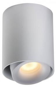 PP Design P 818/1 WH TUBA PLAFON NOWOCZESNA LAMPA SUFITOWA OPRAWA NATYNKOWA BIAŁY PAR16 GU10 LED