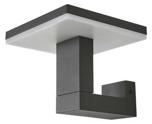 Lucande - Olesia Zewnętrzna Lampa Ścienna Dark Grey/Opal