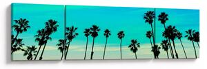 Obraz - Kalifornia (170x50 cm)