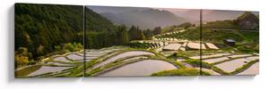 Obraz - Tarasy ryżowe (170x50 cm)