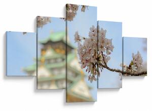 Obraz - Sakura (125x70 cm)
