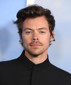 Fotografia Harry Styles at the Premiere Of My Policeman, Steve Granitz