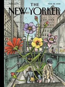 Ilustracja The Ny Magazine Cover 06