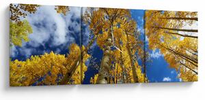 Obraz - Aspen (z zegarem) (90x30 cm)