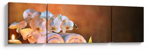 Obraz - Relaks i spa (170x50 cm)