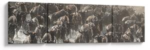 Obraz - Stado antylop gnu (170x50 cm)