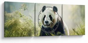 Obraz - Panda (z zegarem) (90x30 cm)