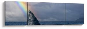 Obraz - Garbus (170x50 cm)