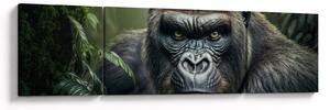 Obraz - Portret goryla (170x50 cm)