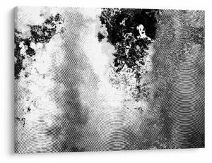 Obraz - Wylęg (70x50 cm)