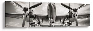 Obraz - Warbird (170x50 cm)