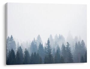 Obraz - Mglisty las (70x50 cm)