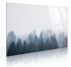 Obraz na szkle - Mglisty las (70x50 cm)