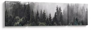 Obraz - Las z ilustrowanymi elementami (170x50 cm)