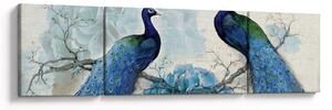 Obraz - Pawie tekstury (170x50 cm)
