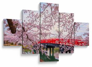 Obraz - Hirosaki, Japonia (125x70 cm)