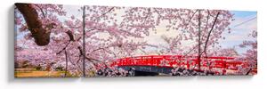 Obraz - Hirosaki, Japonia (170x50 cm)
