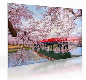 Obraz na szkle - Hirosaki, Japonia (70x50 cm)