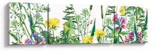 Obraz - Malowane kwiaty łąkowe (170x50 cm)