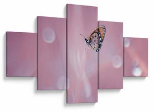 Obraz - Motyl (125x70 cm)