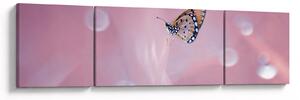 Obraz - Motyl (170x50 cm)