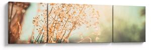 Obraz - Rośliny po deszczu (170x50 cm)