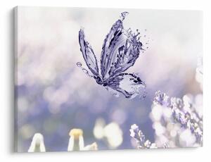 Obraz - Motyl i lawenda (70x50 cm)