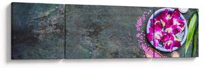 Obraz - Wellness (170x50 cm)