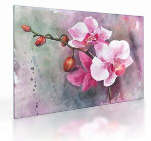 Obraz na szkle - Orchidee, akwarela (70x50 cm)