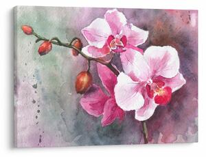 Obraz - Orchidee, akwarela (70x50 cm)
