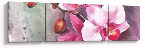 Obraz - Orchidee, akwarela (170x50 cm)