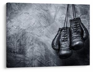 Obraz - Rękawice bokserskie (70x50 cm)