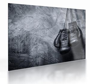 Obraz na szkle - Rękawice bokserskie (70x50 cm)