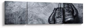 Obraz - Rękawice bokserskie (170x50 cm)
