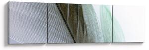 Obraz - Pióra, makro (170x50 cm)