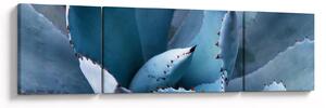 Obraz - Agawa (170x50 cm)