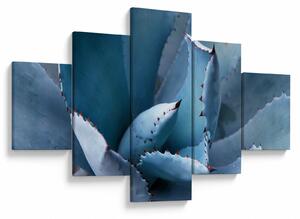Obraz - Agawa (125x70 cm)