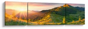 Obraz - Letni krajobraz (170x50 cm)