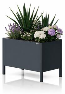 Osłona donica na kwiaty metalowa duża antracytowa: DAISY 500 x 400 x 300 mm