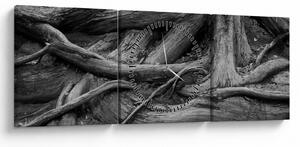 Obraz - Korzenie drzewa (z zegarem) (90x30 cm)